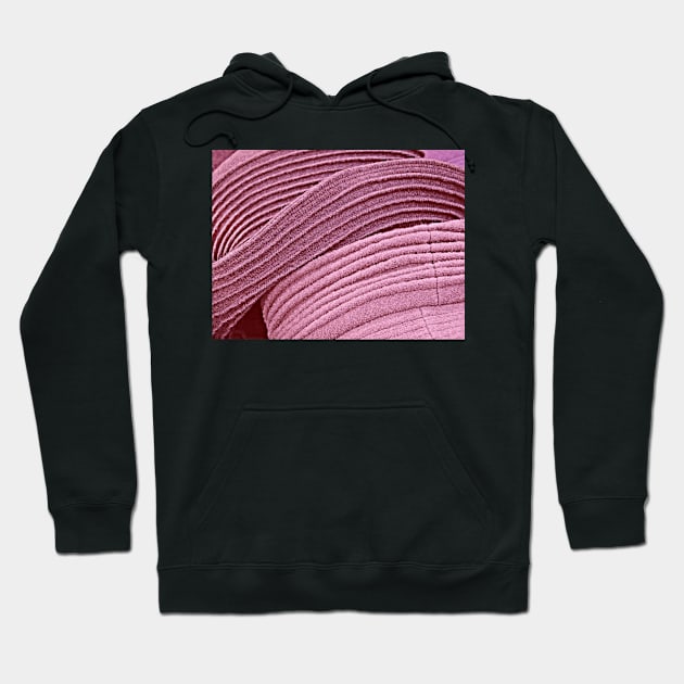 Felt Hats Abstract Hoodie by AlexaZari